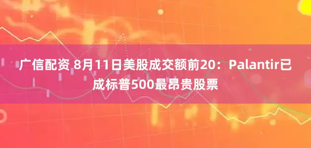 广信配资 8月11日美股成交额前20：Palantir已成标普500最昂贵股票