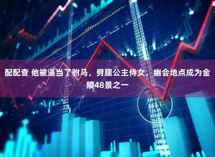 配配查 他被逼当了驸马，劈腿公主侍女，幽会地点成为金陵48景之一
