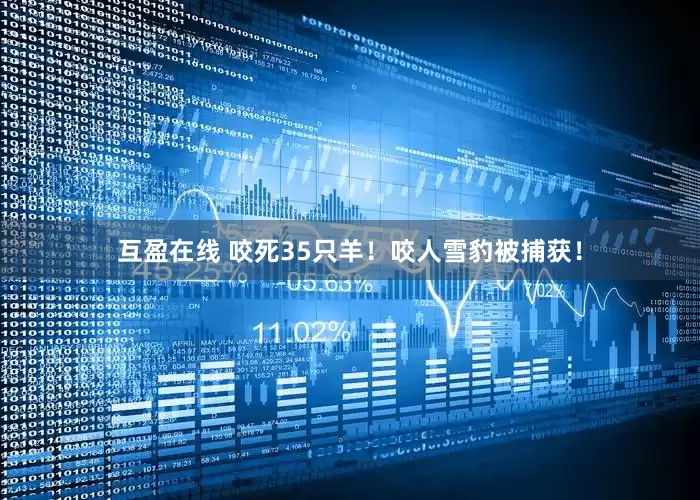 互盈在线 咬死35只羊！咬人雪豹被捕获！